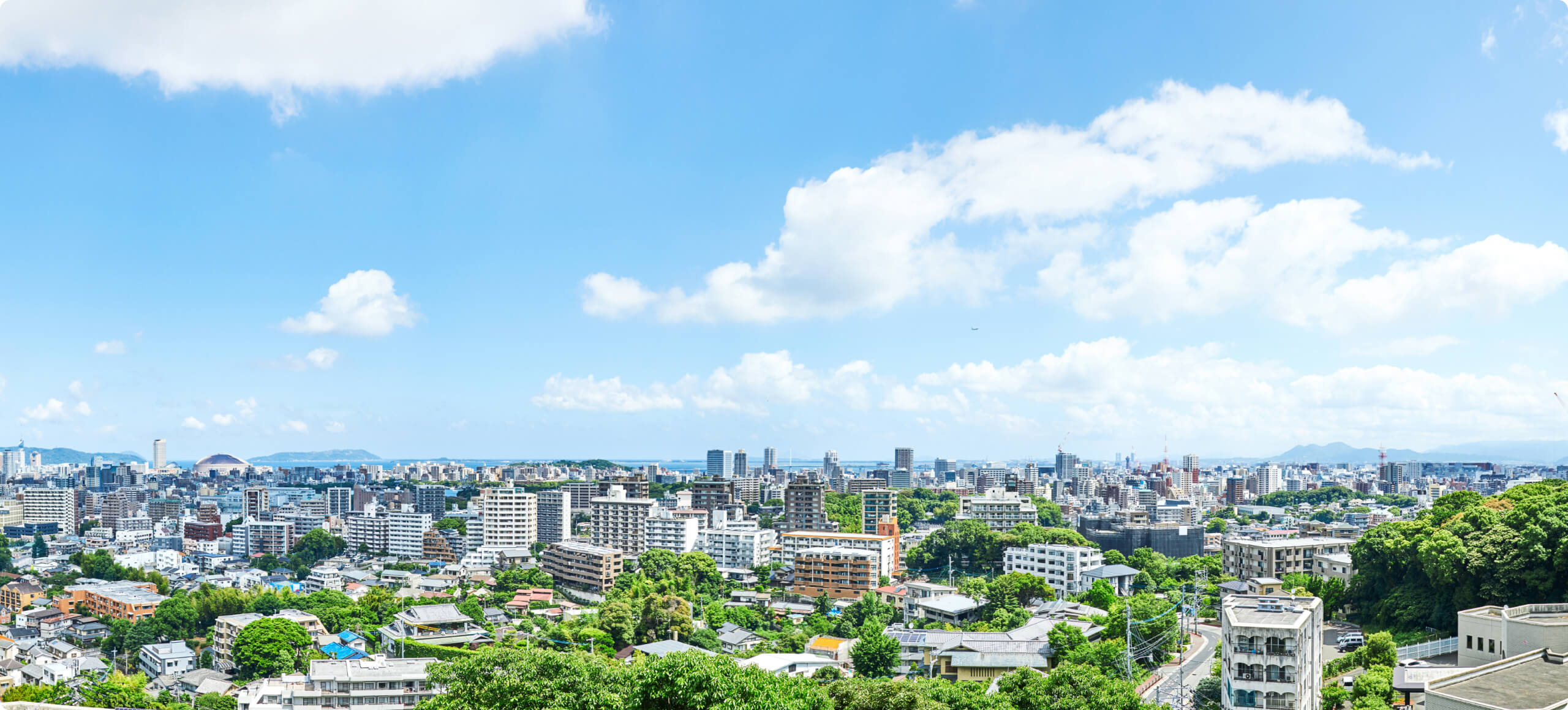 カズハシステムズ株式会社:まだ見ぬ価値を、組み合わせの力で。