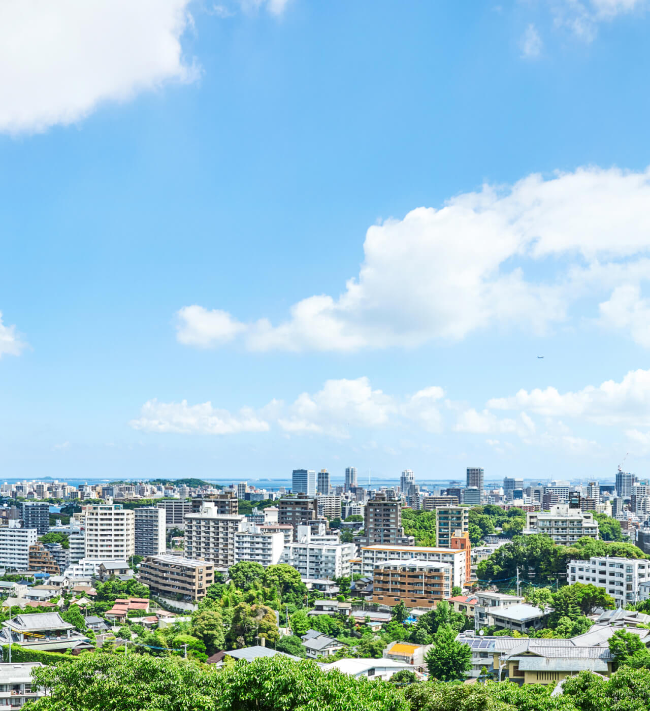 カズハシステムズ株式会社:まだ見ぬ価値を、組み合わせの力で。